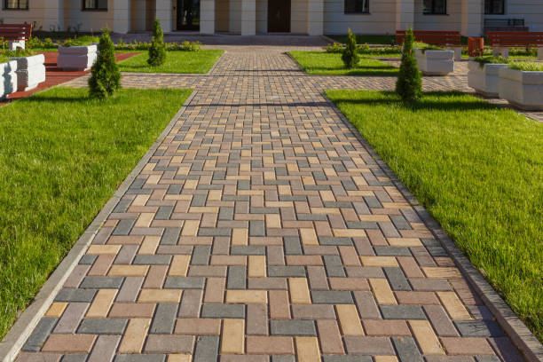 Best Asphalt Driveway Paving in Homewood, SC